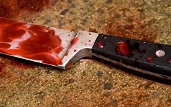 نقرتين لعرض الصورة في صفحة مستقلة