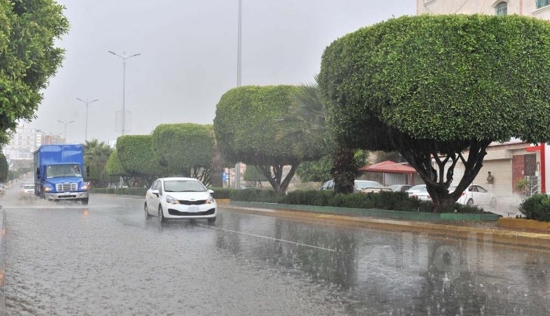 نقرتين لعرض الصورة في صفحة مستقلة