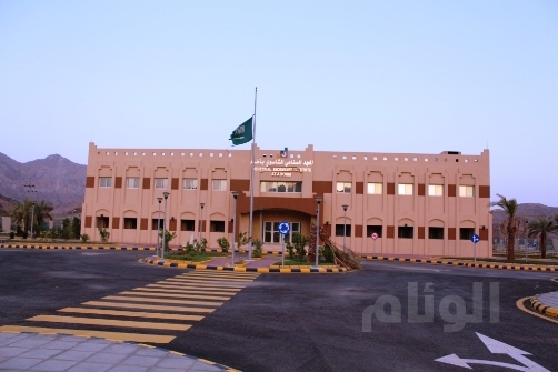 نقرتين لعرض الصورة في صفحة مستقلة