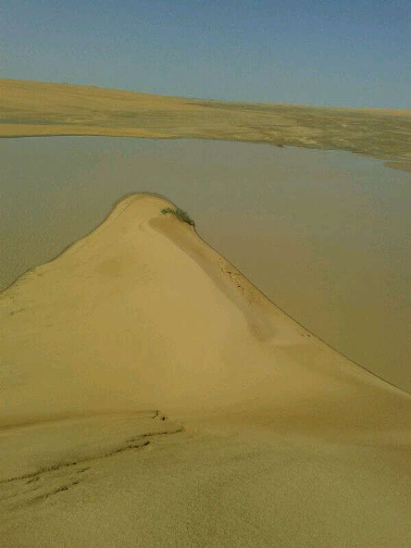 نقرتين لعرض الصورة في صفحة مستقلة