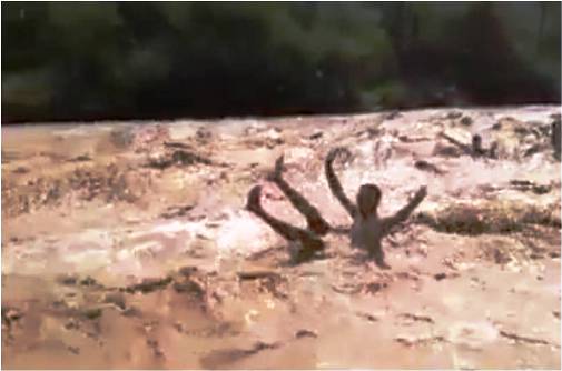 نقرتين لعرض الصورة في صفحة مستقلة