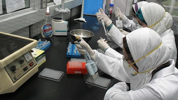 نقرتين لعرض الصورة في صفحة مستقلة