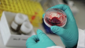 نقرتين لعرض الصورة في صفحة مستقلة