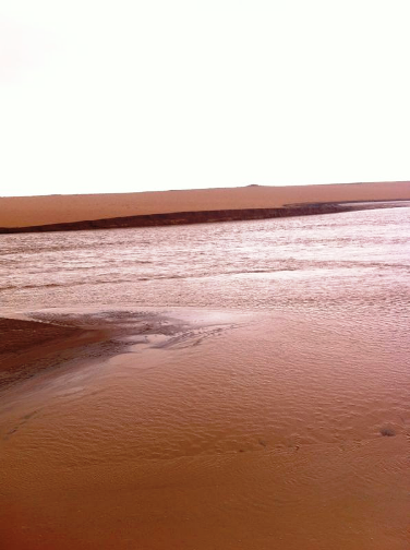 نقرتين لعرض الصورة في صفحة مستقلة