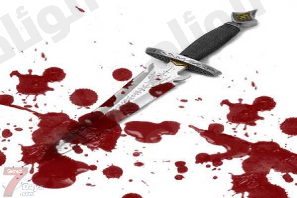 نقرتين لعرض الصورة في صفحة مستقلة