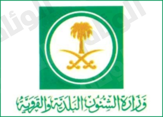 نقرتين لعرض الصورة في صفحة مستقلة