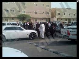 نقرتين لعرض الصورة في صفحة مستقلة