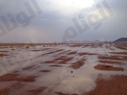 نقرتين لعرض الصورة في صفحة مستقلة