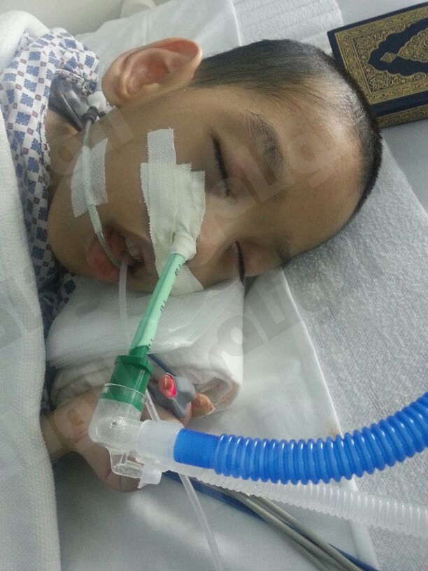 نقرتين لعرض الصورة في صفحة مستقلة