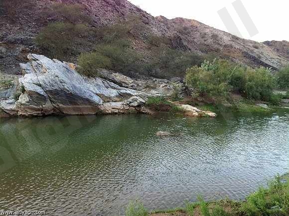 نقرتين لعرض الصورة في صفحة مستقلة