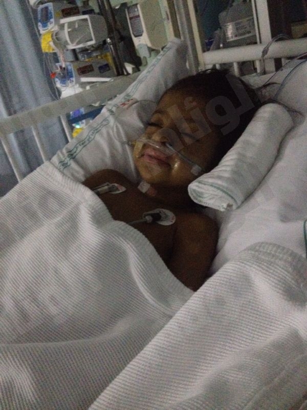 نقرتين لعرض الصورة في صفحة مستقلة