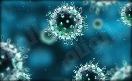 نقرتين لعرض الصورة في صفحة مستقلة