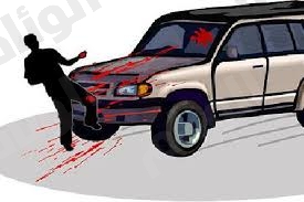 نقرتين لعرض الصورة في صفحة مستقلة