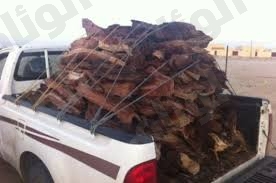 نقرتين لعرض الصورة في صفحة مستقلة