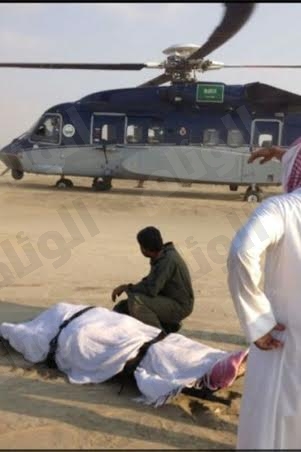 نقرتين لعرض الصورة في صفحة مستقلة