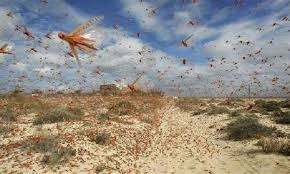 نقرتين لعرض الصورة في صفحة مستقلة