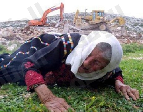 نقرتين لعرض الصورة في صفحة مستقلة