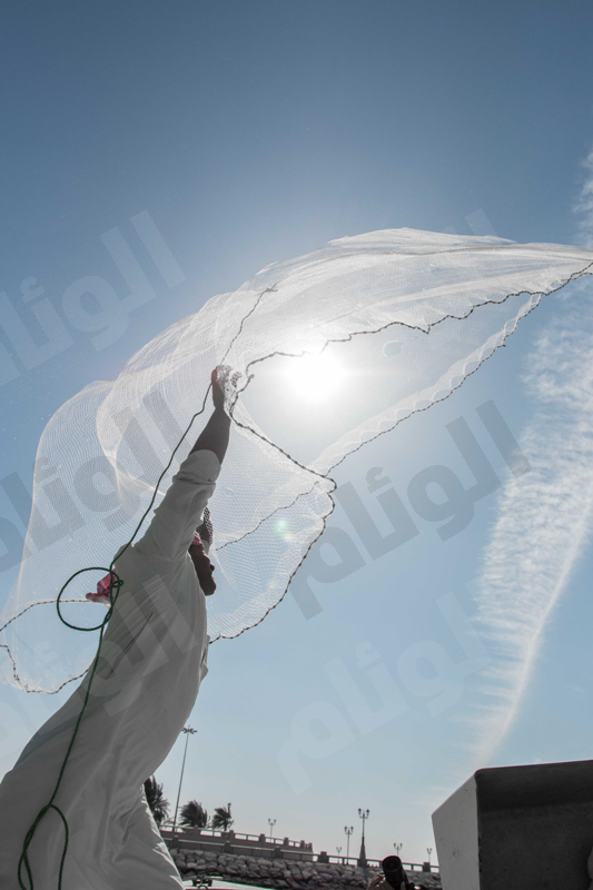 نقرتين لعرض الصورة في صفحة مستقلة