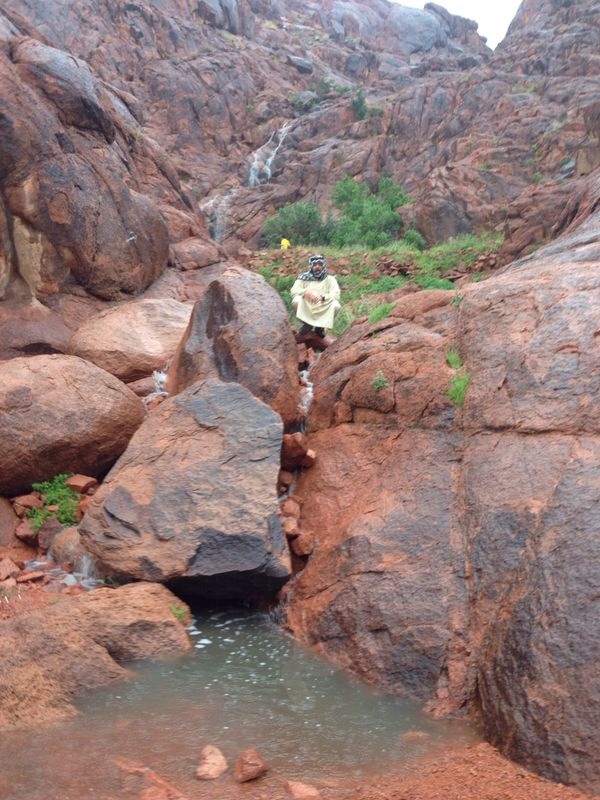 نقرتين لعرض الصورة في صفحة مستقلة