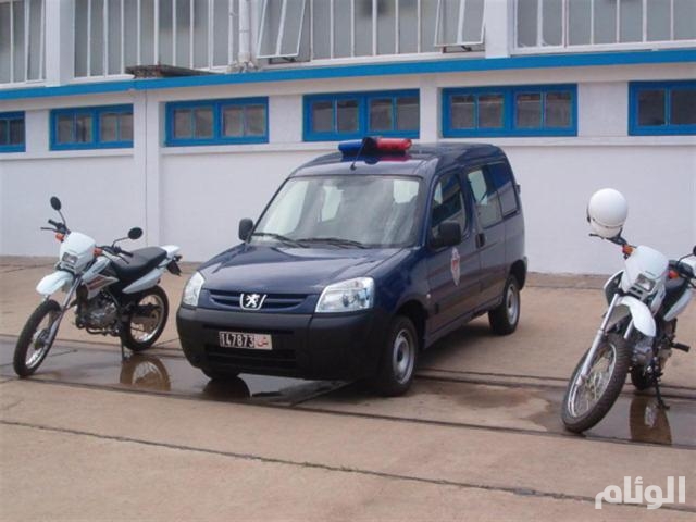 نقرتين لعرض الصورة في صفحة مستقلة