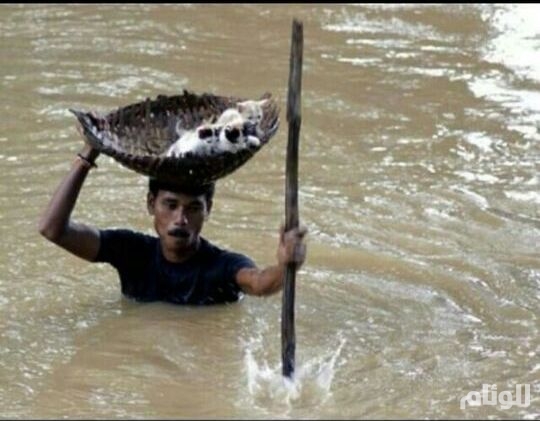 نقرتين لعرض الصورة في صفحة مستقلة