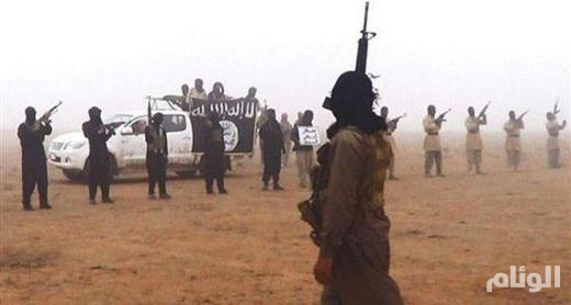 نقرتين لعرض الصورة في صفحة مستقلة