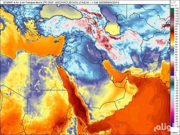 فوريكا الرياض