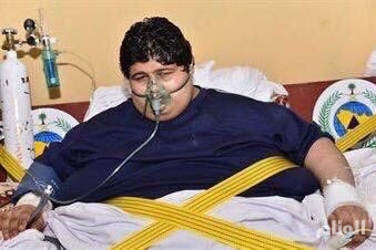 نقرتين لعرض الصورة في صفحة مستقلة