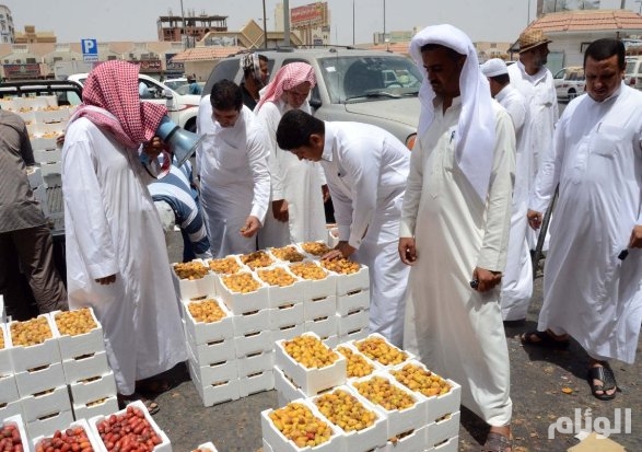 درجة الحرارة المدينة المنورة