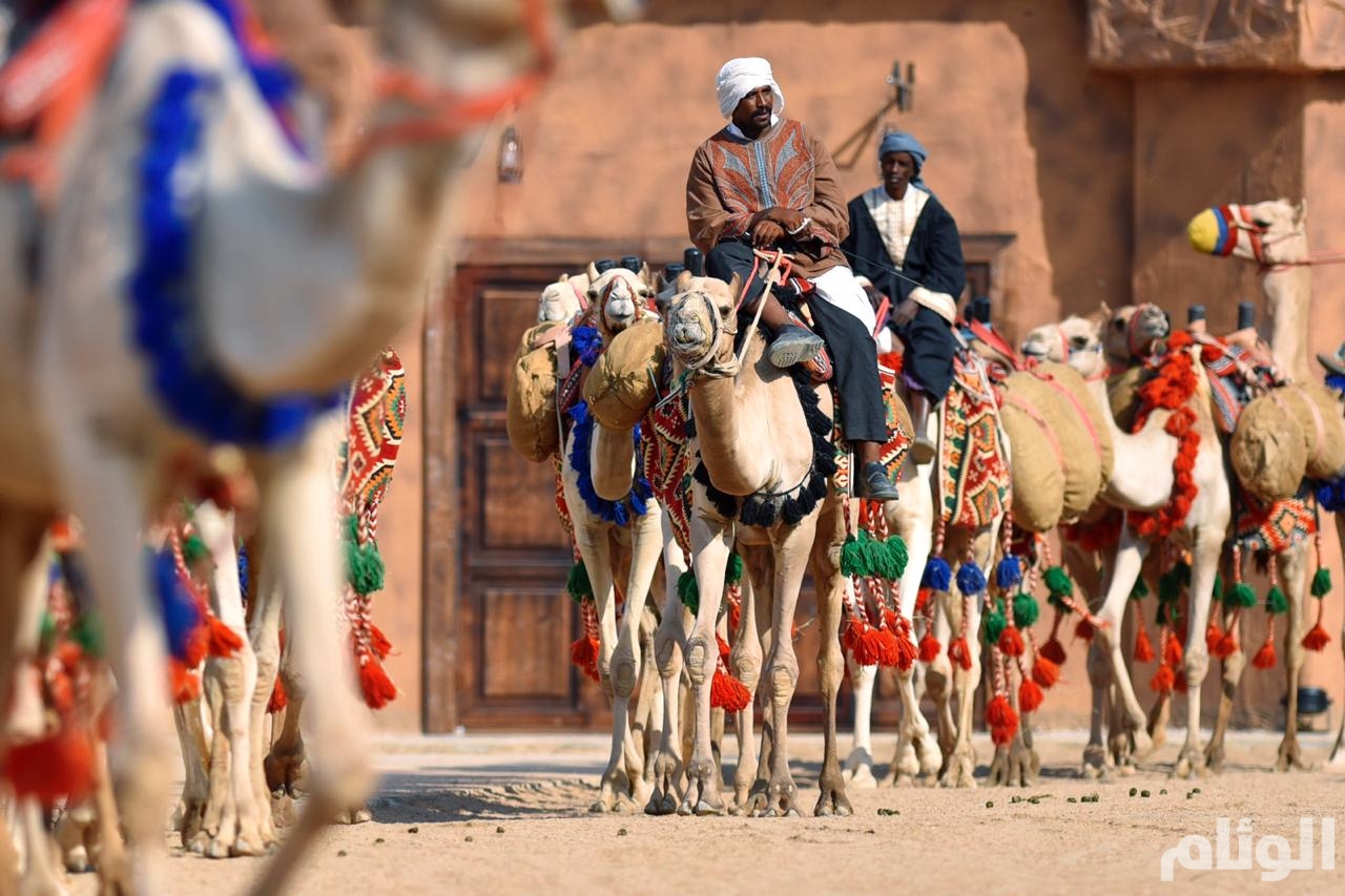 صحيفة عكاظ تويتر