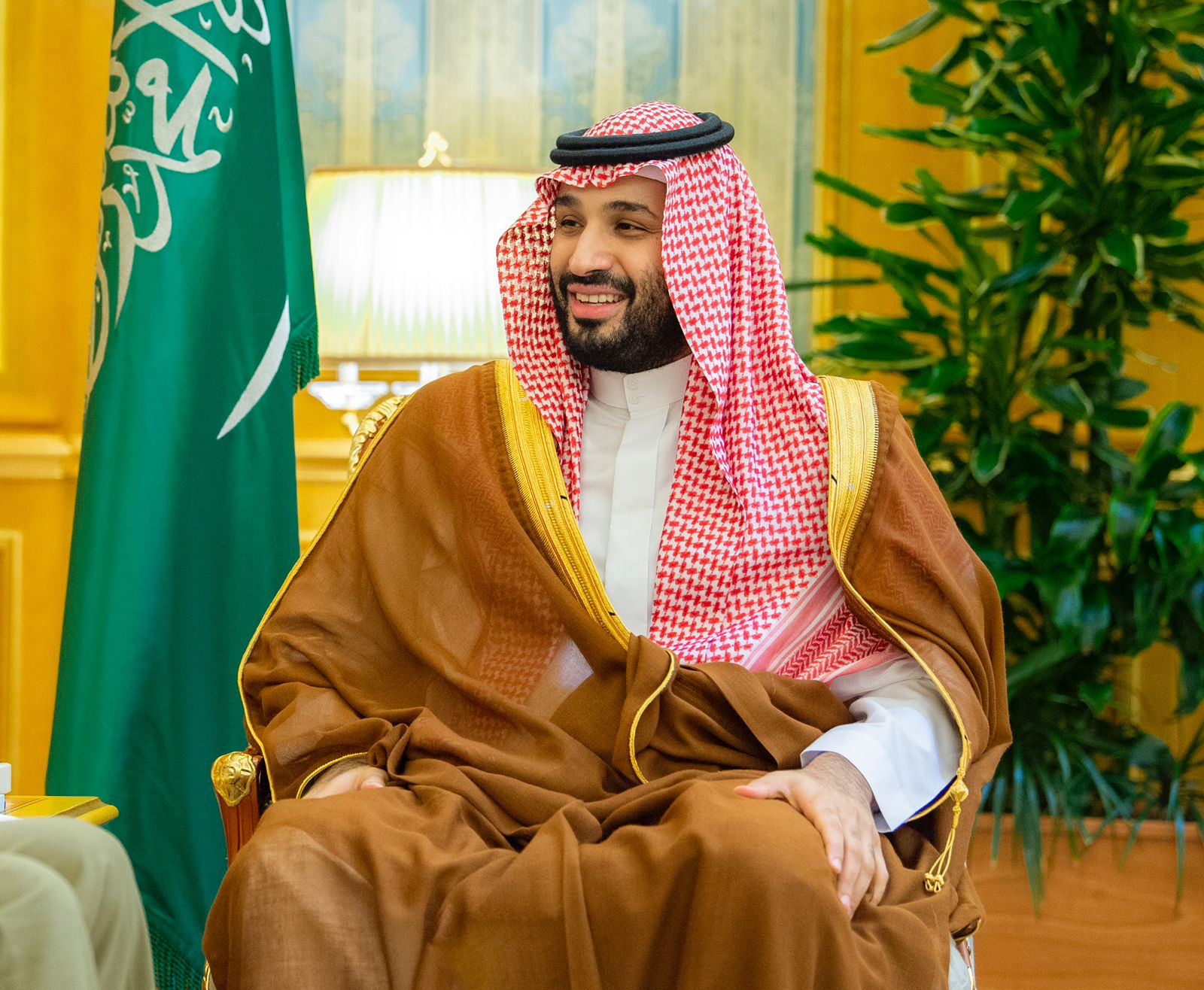 ولي العهد- الامير محمد بن سلمان