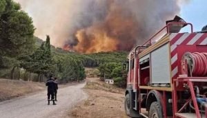 حرائق الغابات غرب تونس