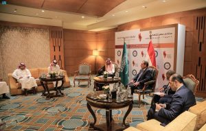 وزير الصناعة والثروة المعدنية يلتقي وزير البترول المصري