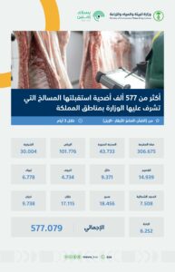 المنشور الصادر من الوزارة