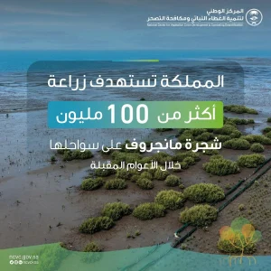 المملكة تستهدف زراعة 100 مليون شجرة مانجروف بالسنوات المقبلة