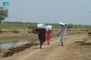 مركز الملك سلمان للإغاثة يواصل توزيع المساعدات الغذائية للأسر المتضررة من الفيضانات في باكستان