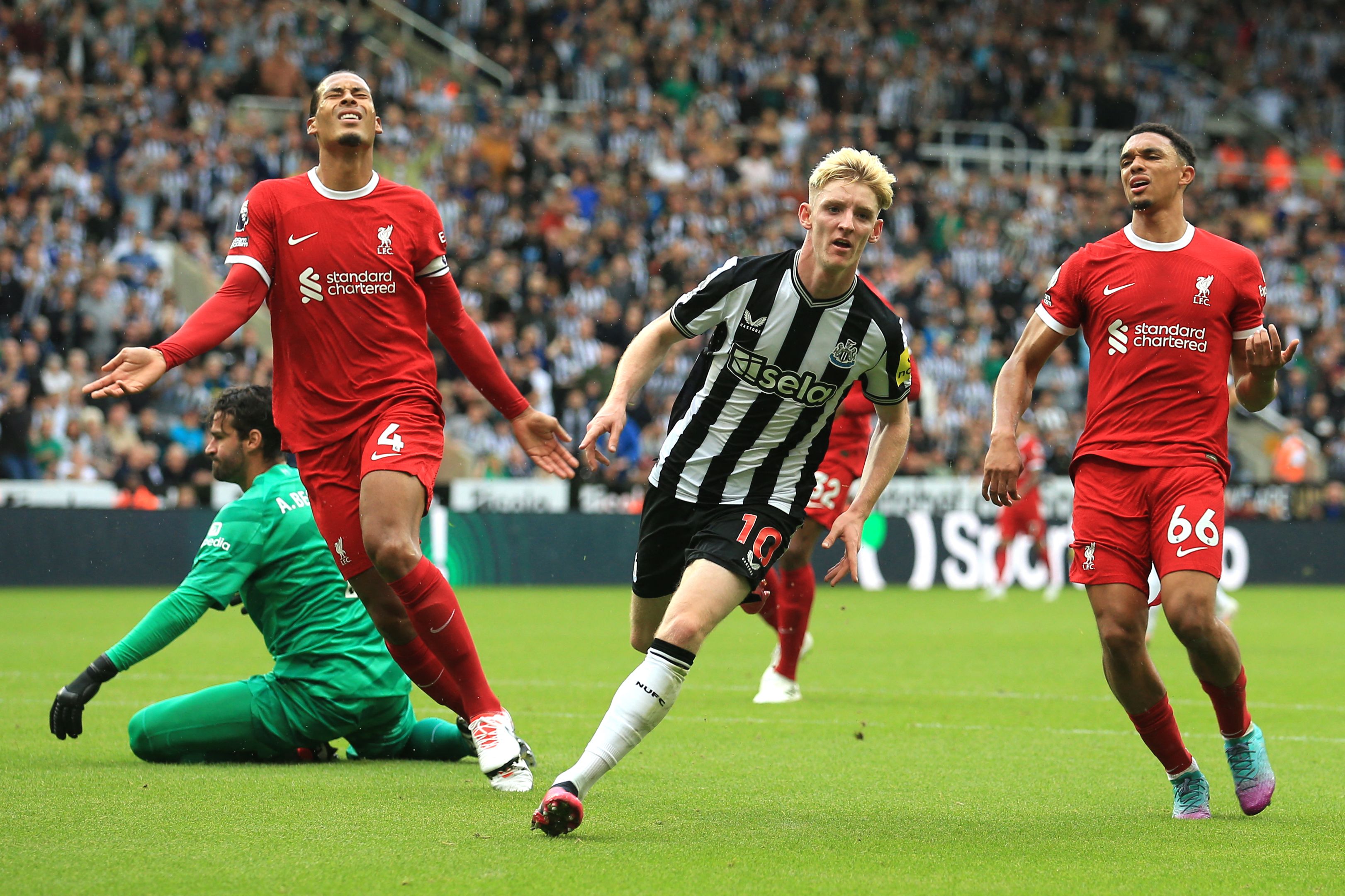 ليفربول ونيوكاسل