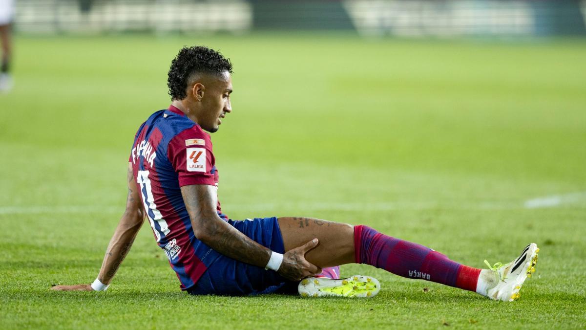 الكشف عن حقيقة انتقال رافينيا إلى دوري روشن