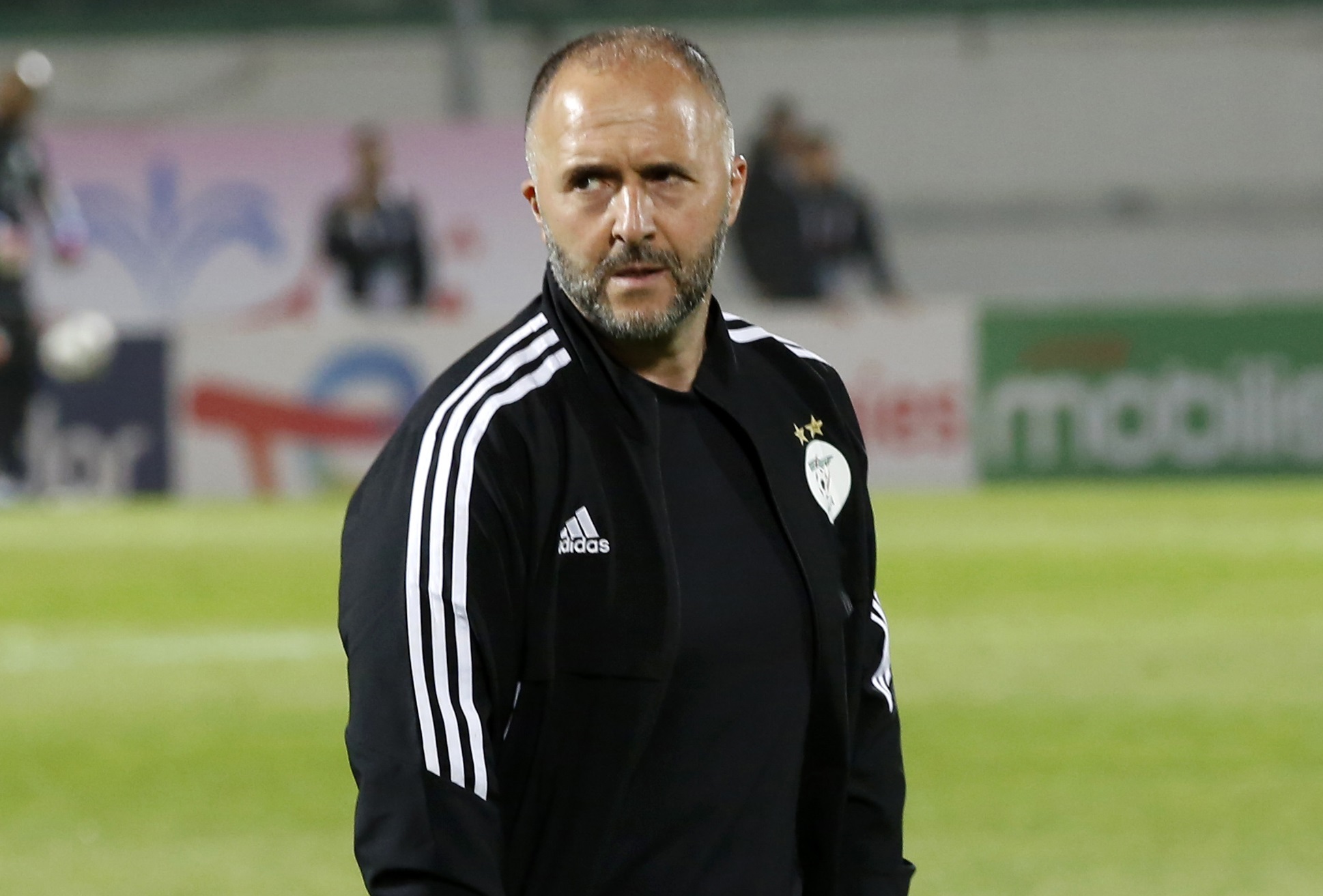 الاتحاد الجزائري يعلن فسخ التعاقد مع بلماضي