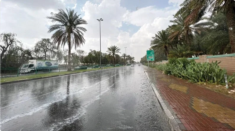 الأرصاد: أمطار رعدية ورياح نشطة تحجب الرؤية عن أغلب المناطق