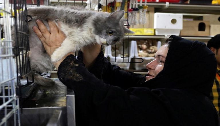 الحيوانات الأليفة في المملكة