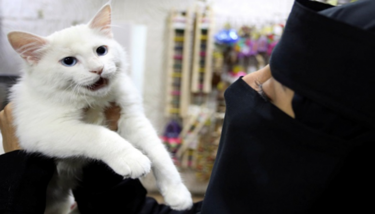 الحيوانات الأليفة في المملكة