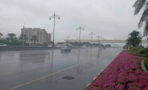 الأرصاد: أمطار رعدية غزيرة على عدة مناطق في السعودية