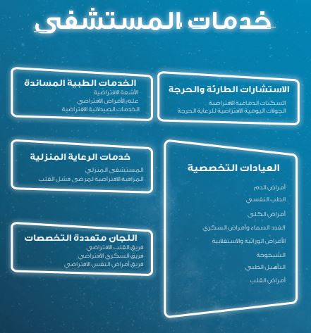 خدمات مستشفى صحة الافتراضي