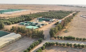 هيئة تطوير محمية الملك سلمان بالتعاون مع مركز “الغطاء النباتي” تزرع مليون شتلة من النباتات المحلية