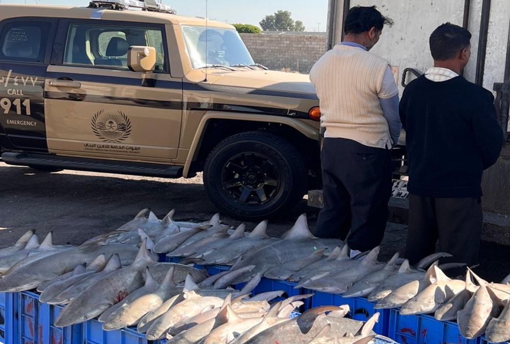 القبض على مقيمين بالمنطقة الشرقية يبيعان كائنات بحرية مهددة بالانقراض