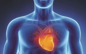 استشاري يجيب على سؤال “الوئام”: كيف يمكن تفادي أمراض القلب؟
