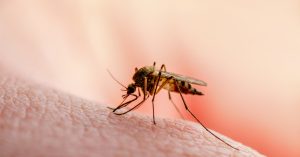 اليوم العالمي للملاريا: تكاتف دولي لمكافحة المرض الفتاك والوصول إلى صفر إصابات