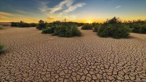 للحد من تدهور الأراضي والجفاف.. السعودية ستستضيف 196 دولة في “كوب 16” خلال 2024
