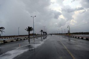 الزعاق: أفضل الأمطار في السعودية الشتوية والصيفية تُنبت أشجارًا